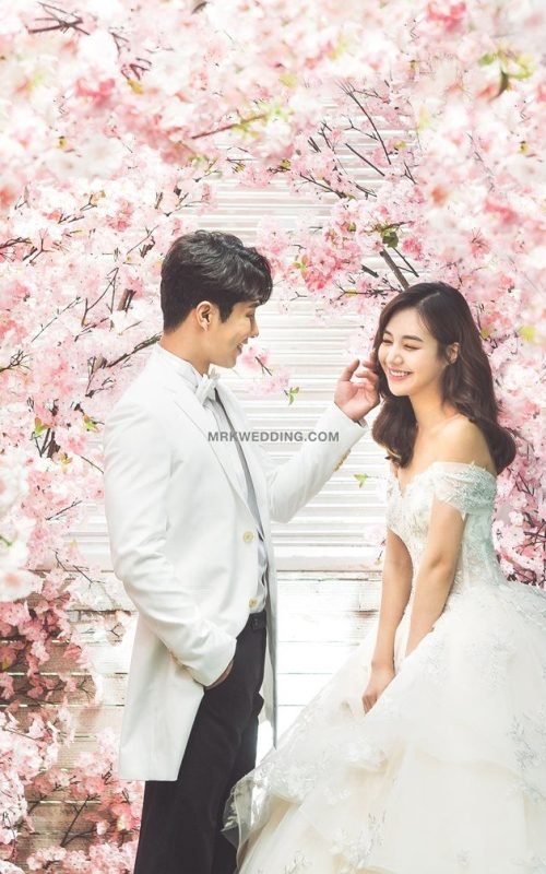 0cc40fe741cc731ceee09f931fc47d85