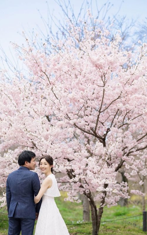 43e10d08ac270a4d094e6a6b96c1c116