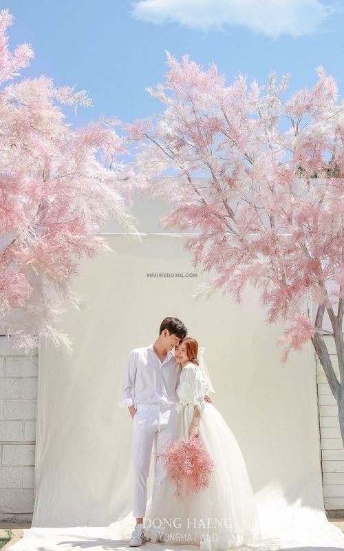 4d8b44086722871271ffc62724027d65