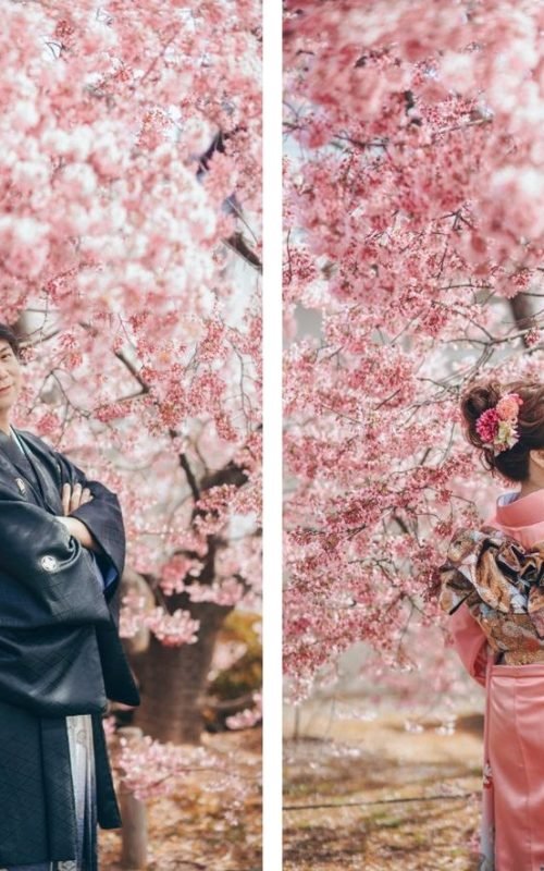 7c85104b5736358751c5f15335527873