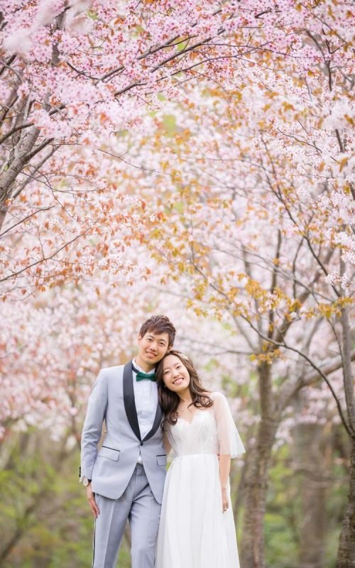 896e89ed982fc9f5c7cf266b628bc830