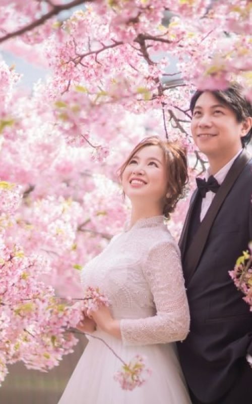 de246a8cf1224d23264b07ae6f4ad1dd