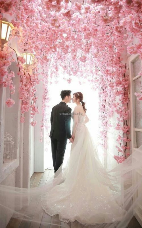 e7ccf23d7a515c286e48cf1e389bf83a